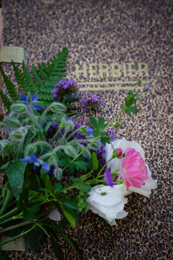 Herbier maison avec fleurs cueillies et séchées à plat