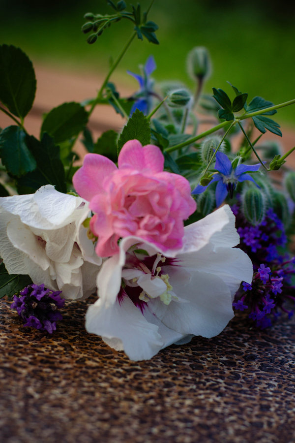 bouquet de fleurs pour séchage à plat