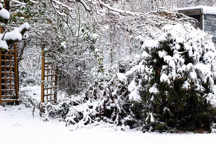 neige au jardin