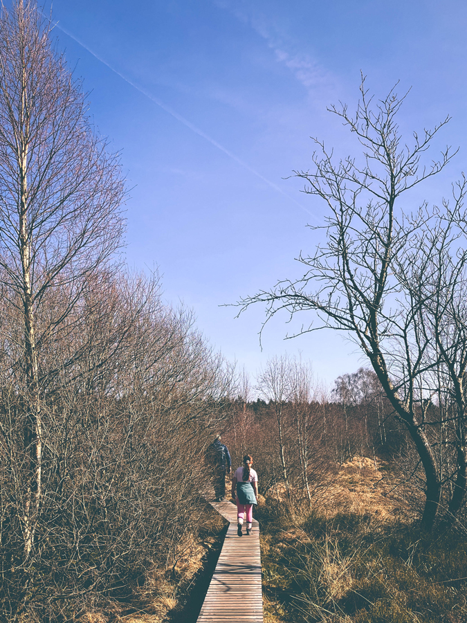 paysage des hautes fagnes