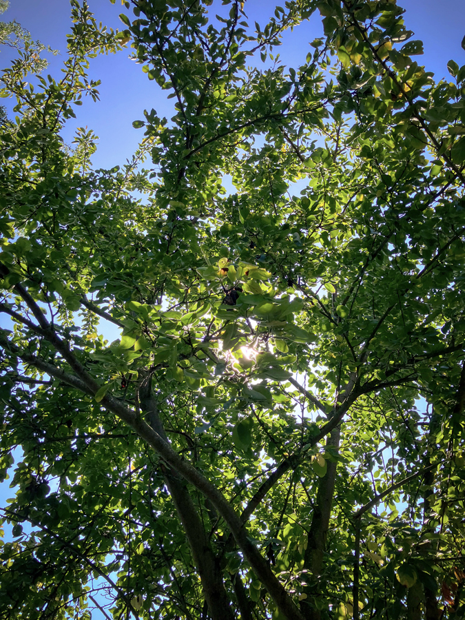 week-end d'été