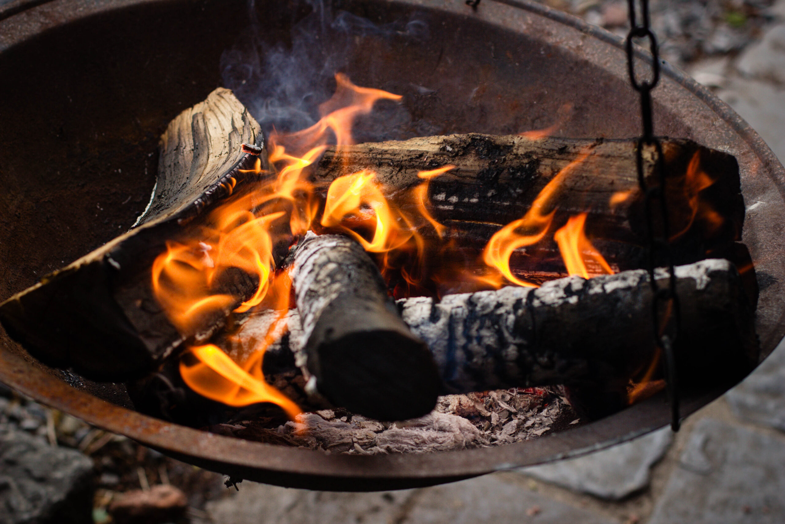 Cueillir, cuire, savourer : les châtaignes, trésor d’automne