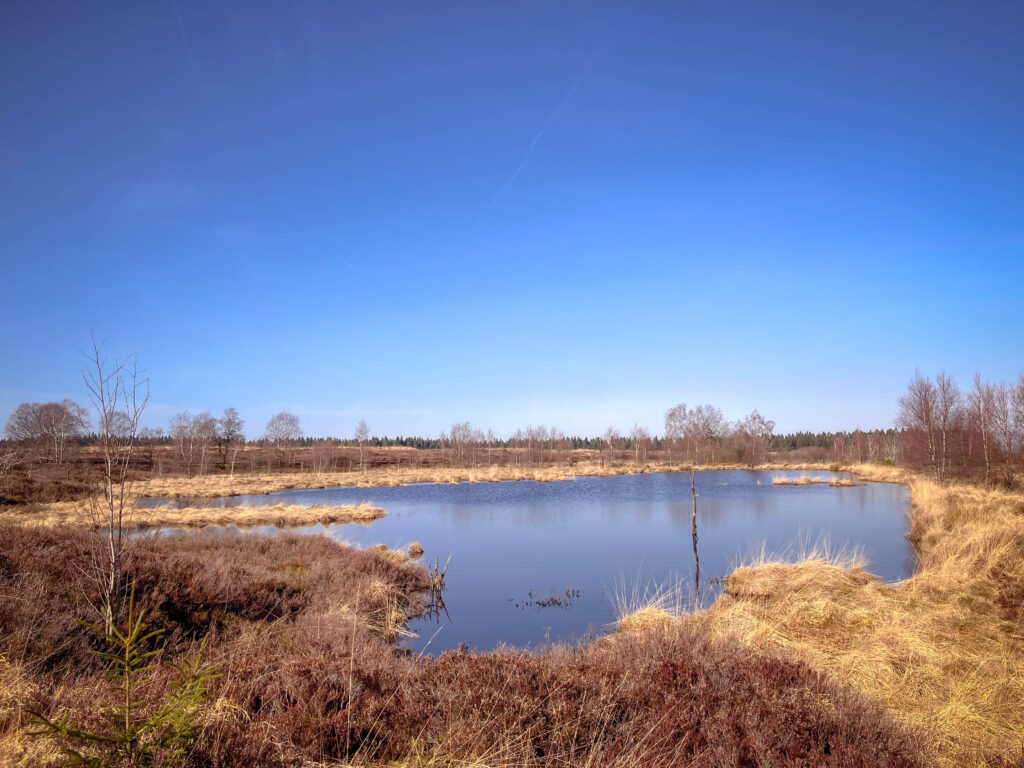 paysage des hautes fagnes