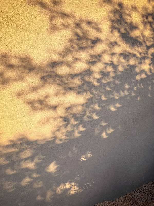 jeu d'ombres durant l'éclipse